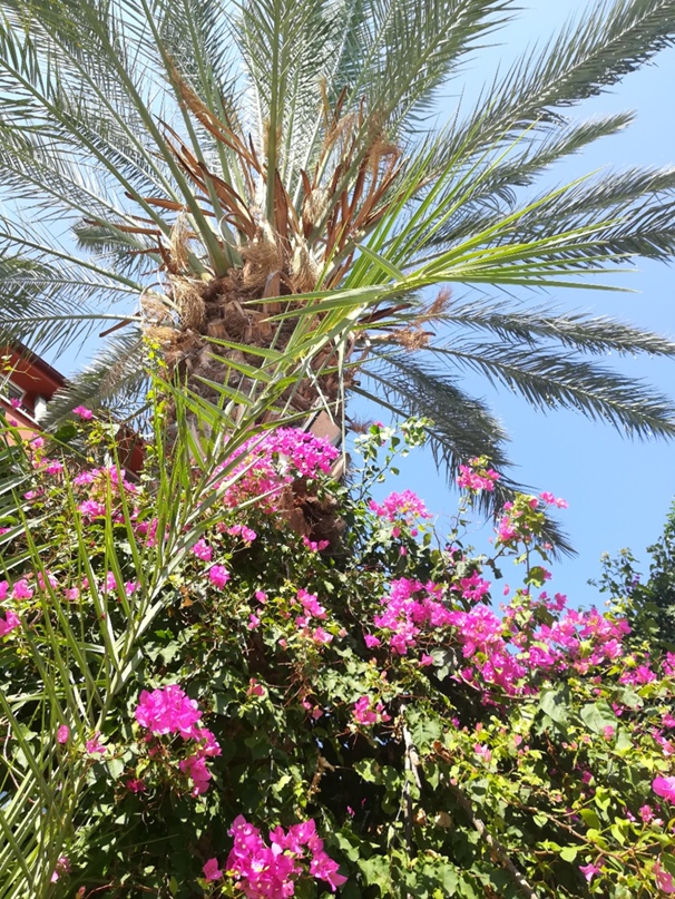 Олеся Левченко | Пермь