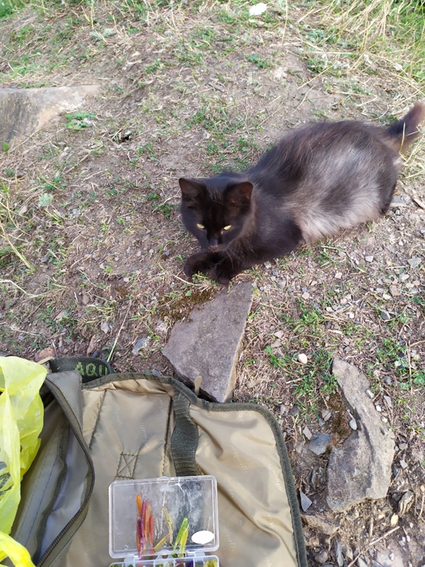 Дмитрий Маслов | Свердловск / Должанск