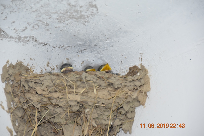 Эльвира Шабалина | Екатеринбург