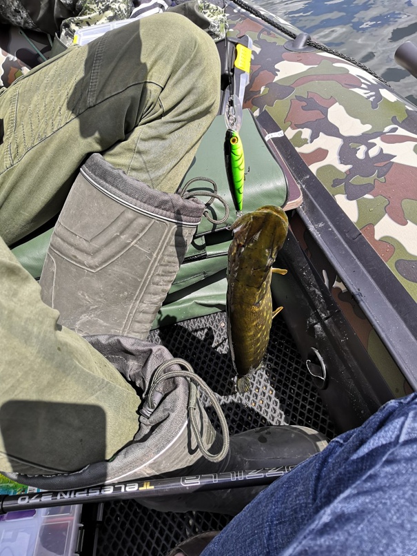 Сергей Окунев | Смоленск