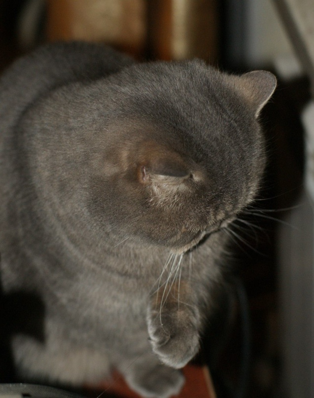 Елизавета Митрофанова | Санкт-Петербург