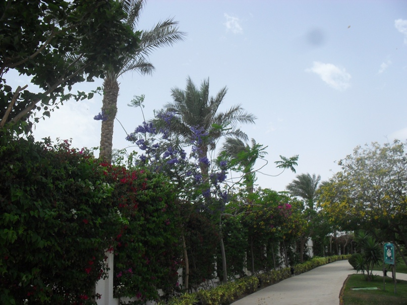 Петр Дойников Loky | Ижевск