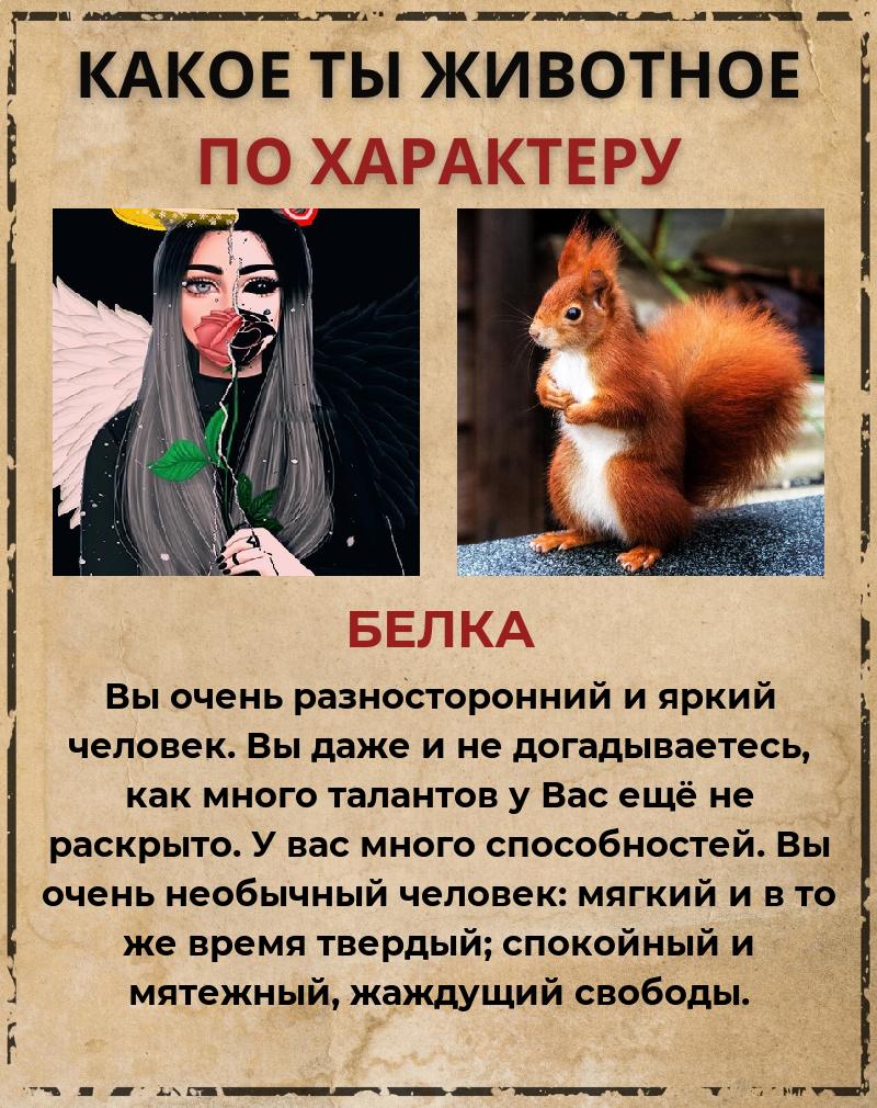 Ольга Филиппова | Киров