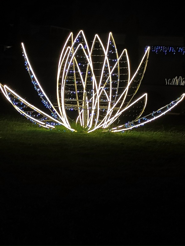 Лариса Коваленко | Сиверский