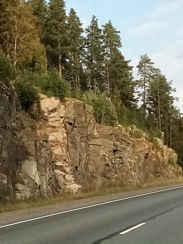 Ольга Ковешникова | Санкт-Петербург