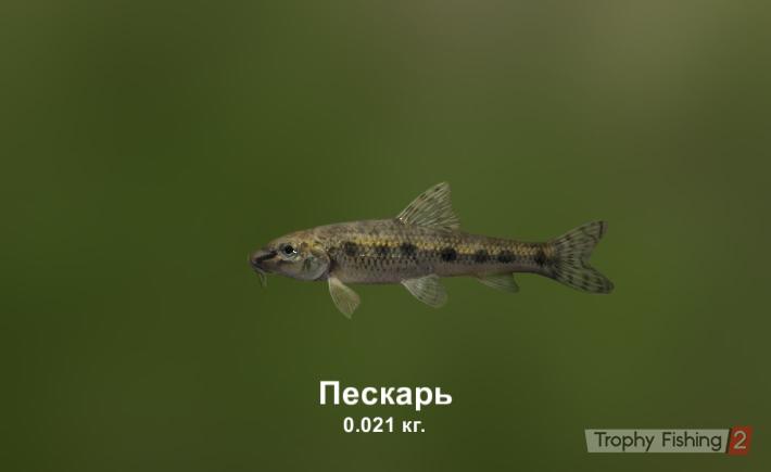 Павел Гребенюк | Новосибирск