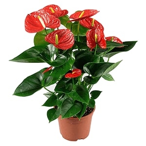 💐Уважаемые жители и гости села Красноусольский!💐...