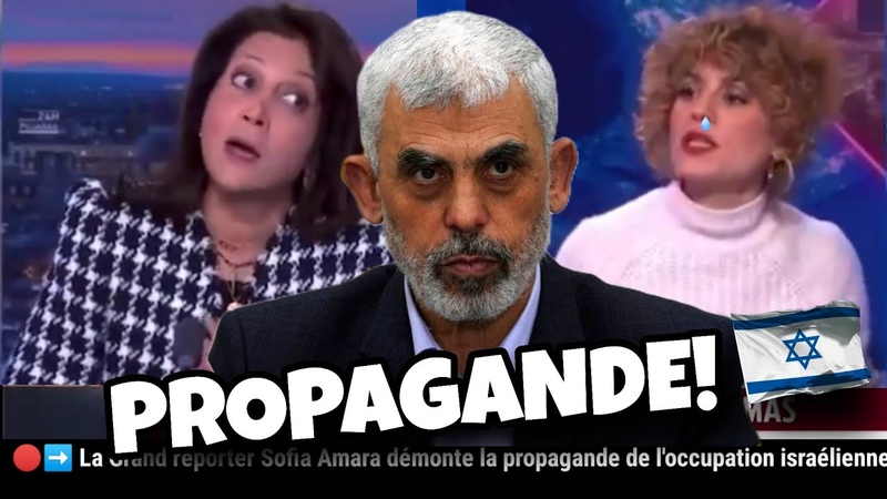La Grand reporter Sofia Amara démonte la propagande sur