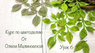 Курс по цветоделию. Урок 6. Листочки 2. Мк с Олесей Малиновской