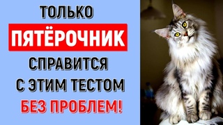 ТОЛЬКО ПЯТЁРОЧНИК СПРАВИТСЯ С ТЕСТОМ БЕЗ ПРОБЛЕМ ВИКТОРИНА ПО РУССКОМУ ЯЗЫКУ #test #logic