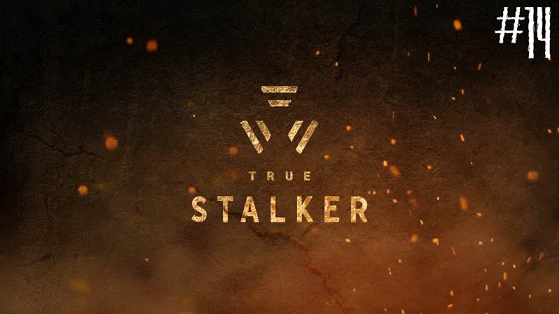 True Stalker,