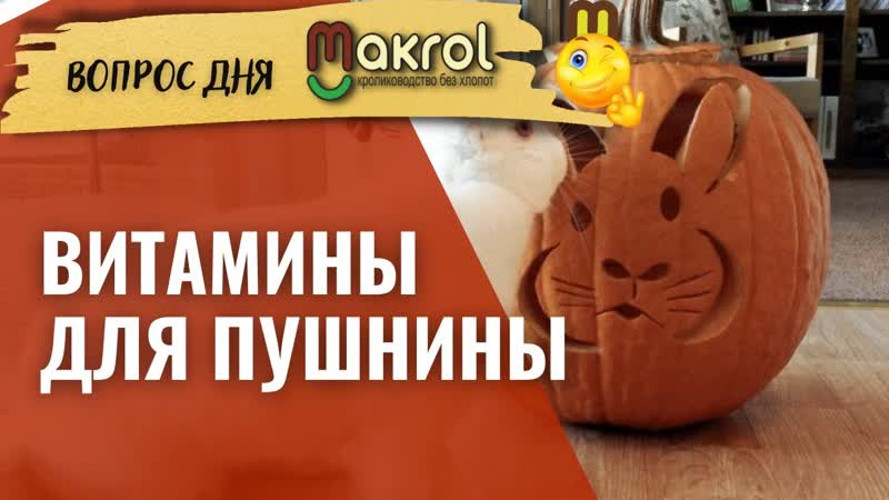 Тыква Кролики и Черви. Какие породы в моем хозяйстве,