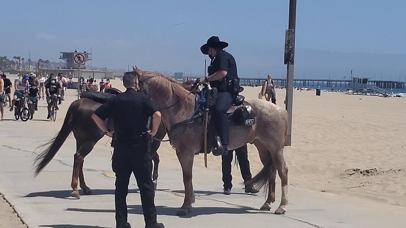 LAPD Police Horse Runs From LAPD Police Officers at Venice