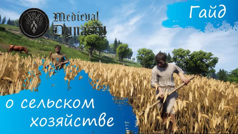 Medieval Dynasty Гайд О полях и сельском