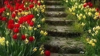 Самая красивая мелодия души 'Мелодия души'
